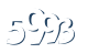 Input this protected code
