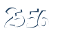 Input this protected code