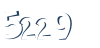 Input this protected code