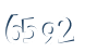 Input this protected code