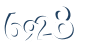 Input this protected code