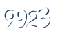 Input this protected code