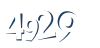 Input this protected code