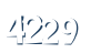 Input this protected code