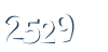 Input this protected code