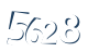 Input this protected code