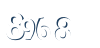 Input this protected code