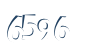 Input this protected code