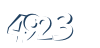 Input this protected code