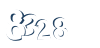 Input this protected code