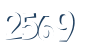 Input this protected code