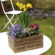 Mother's Day gifts: planted flower arrangements 