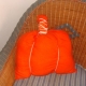 Pumpkin cushion and fabric dye