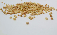 fregula