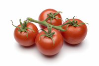 tomato