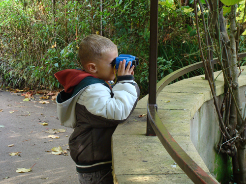 My little explorer has spotted...