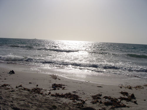 Plastic bottles on the beach