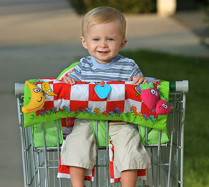 baby-in-shopping-cart
