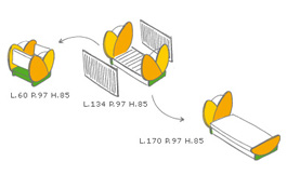 le-tulip-graphics