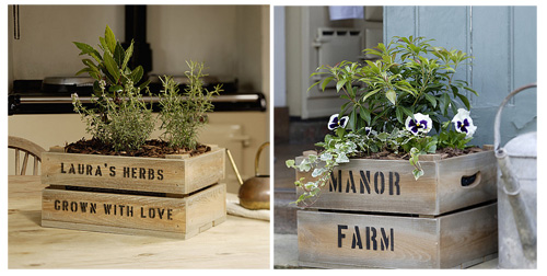 planted-personalised-boxes